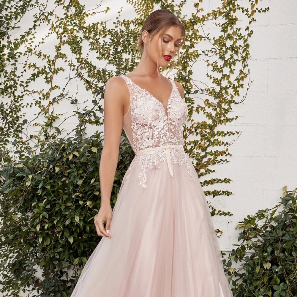 NEW LONG SLEEVELESS EMBROIDERED A-LINE TULLE DRESS WITH ZIPPER BACK AL A1045